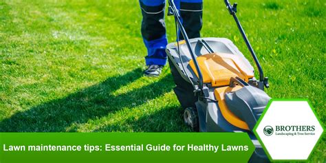 Unlocking the secrets of lawn witchcraft: rituals for a thriving, healthy turf